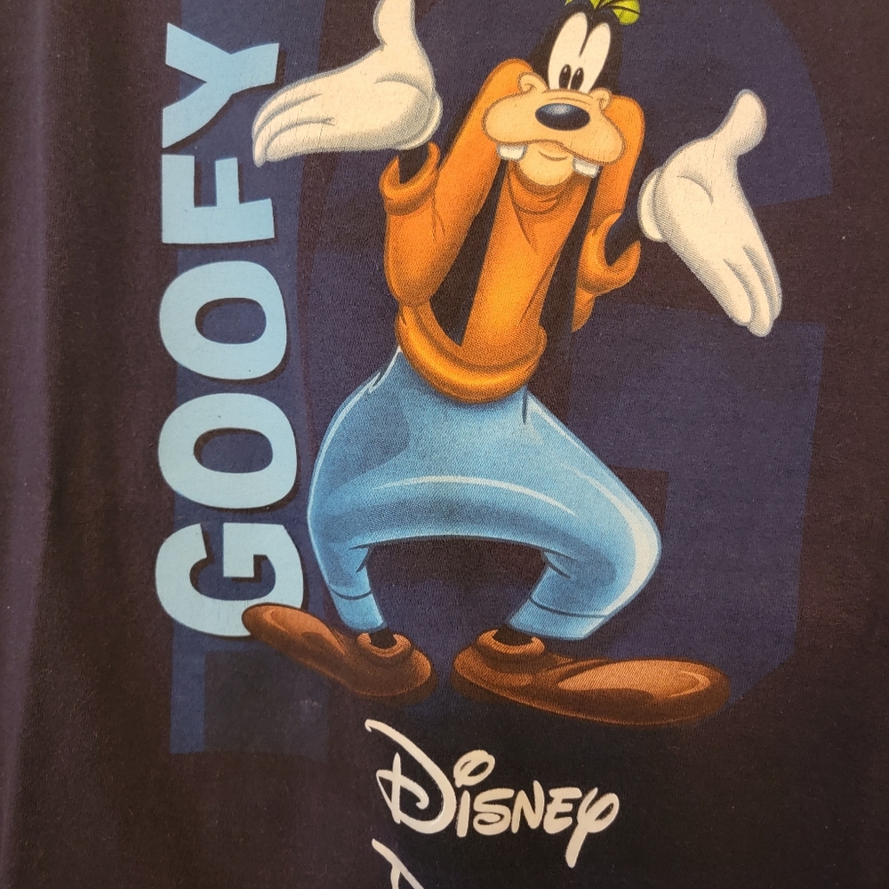 Disney Florida Goofy T-Shirt by Jerry Leigh